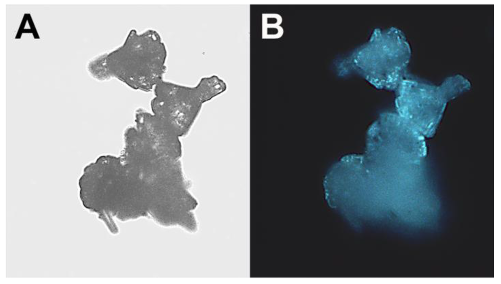 Materials 06 05234 g005 1024