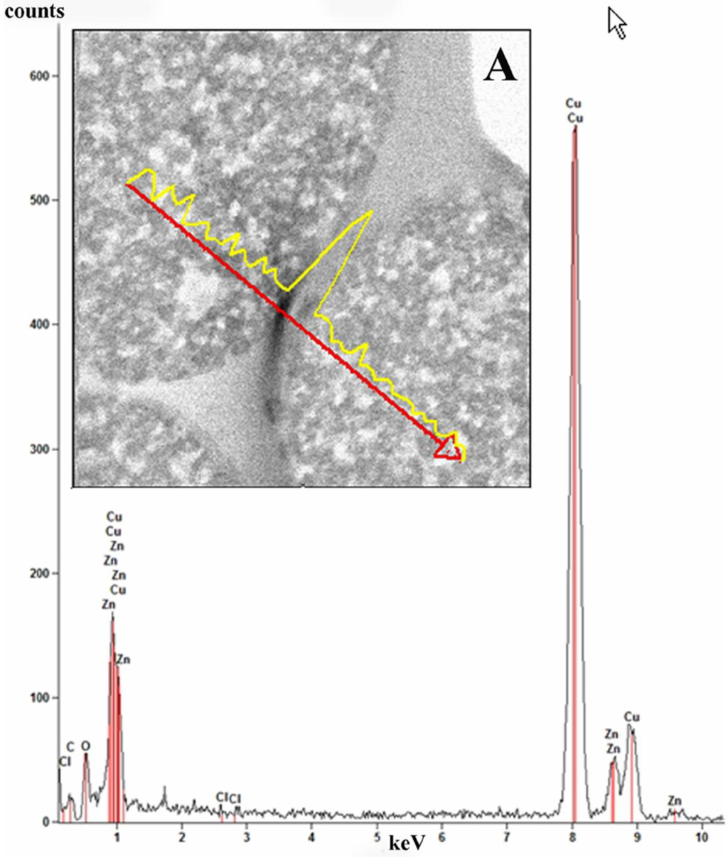 Materials 06 05234 g009 1024