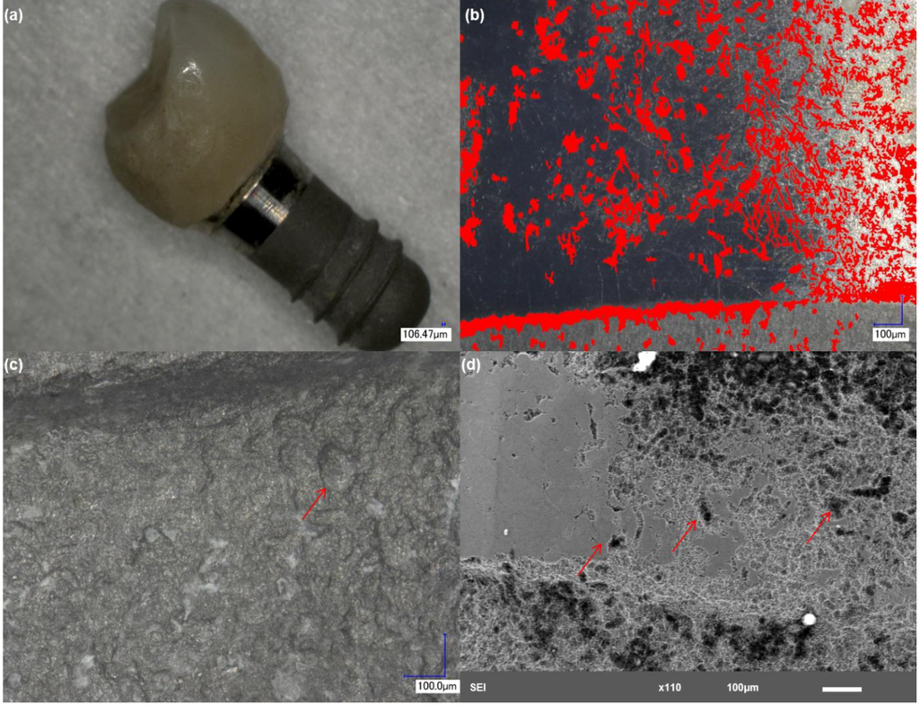 Materials 06 05258 g002 1024