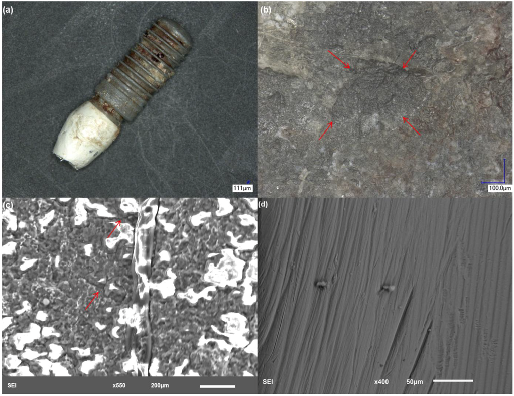 Materials 06 05258 g005 1024