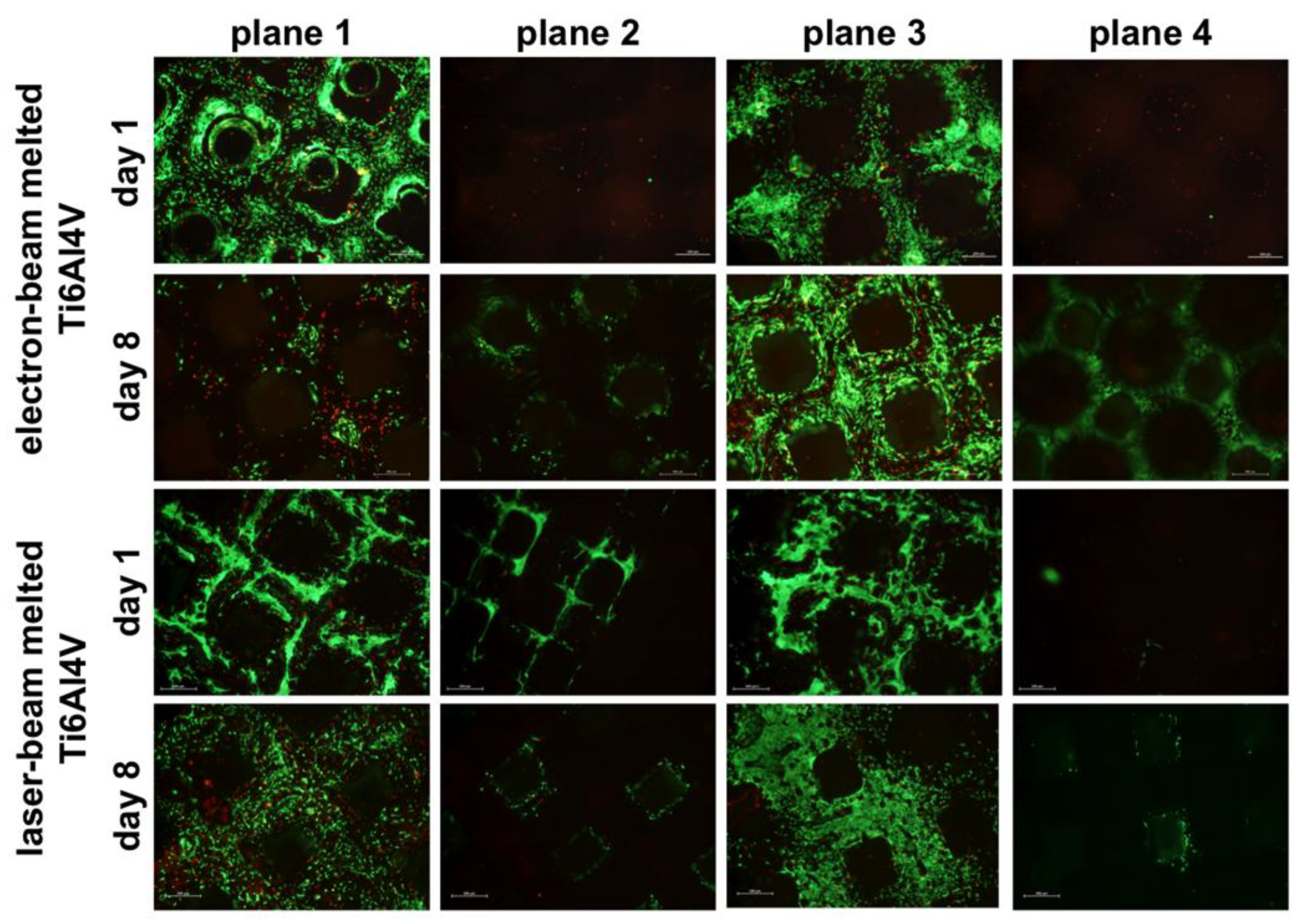 Materials 06 05398 g002