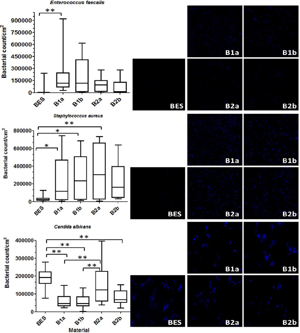 Materials 06 05659 g002 1024