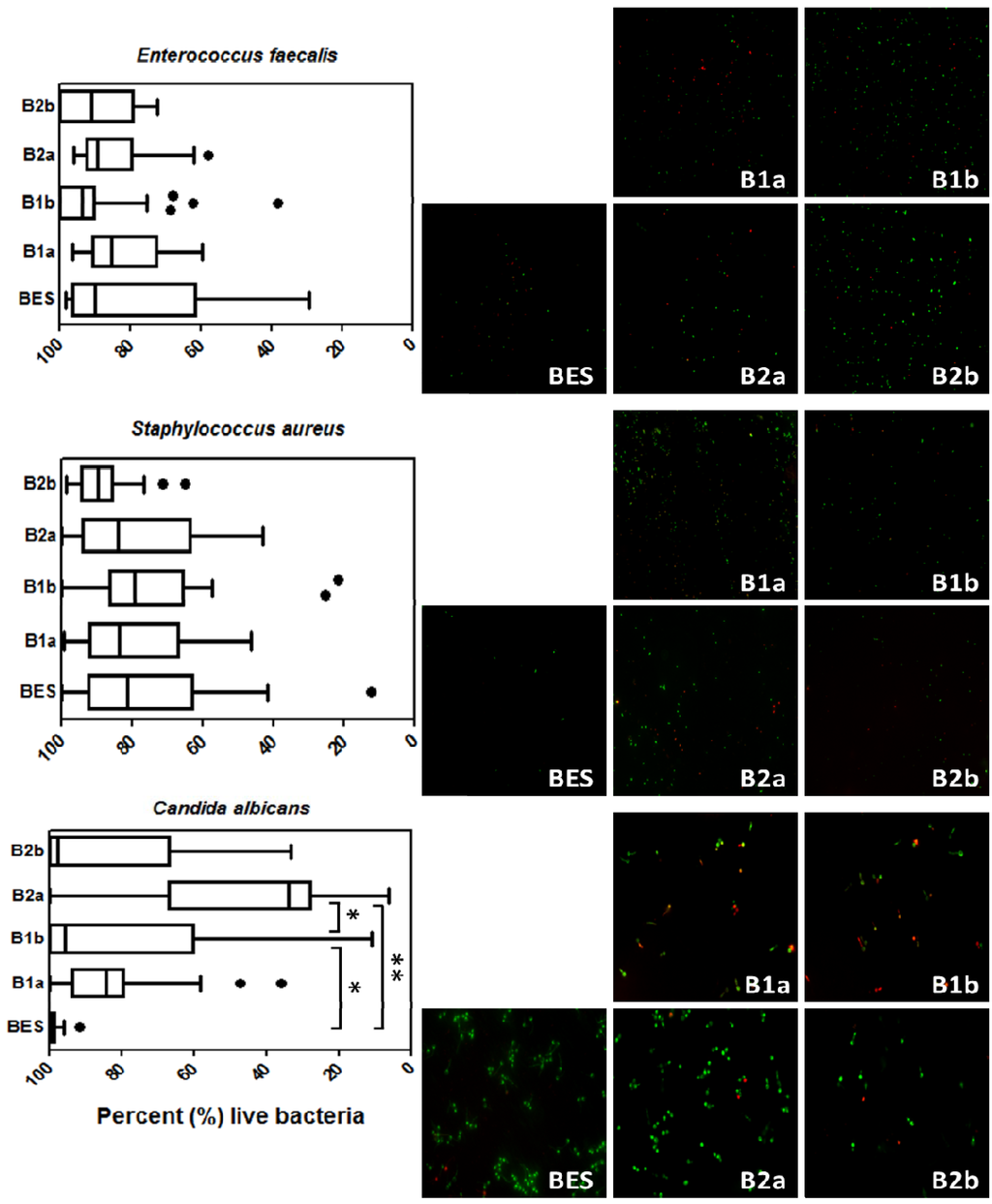 Materials 06 05659 g003 1024