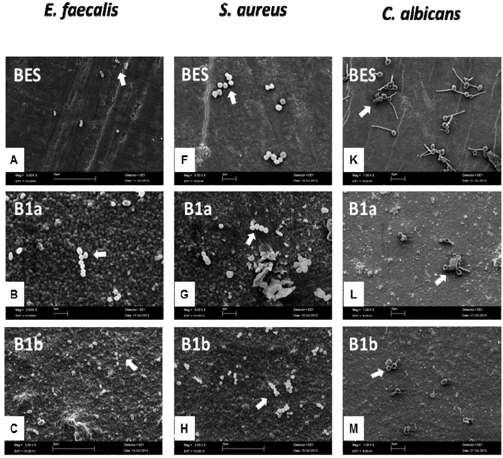 Materials 06 05659 g004a 1024