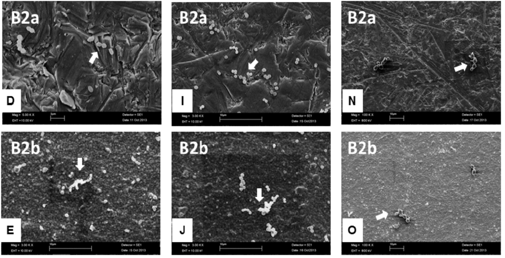 Materials 06 05659 g004b 1024