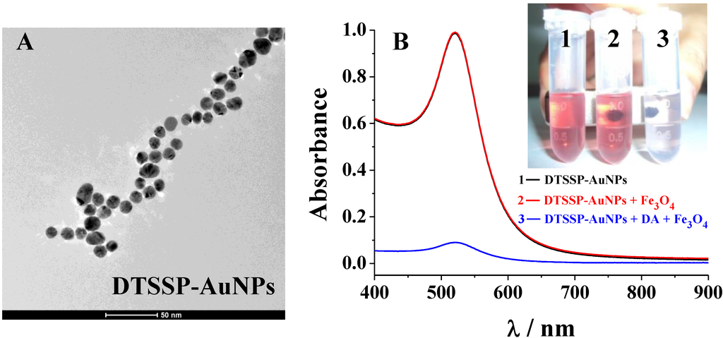 Materials 06 05690 g002 1024