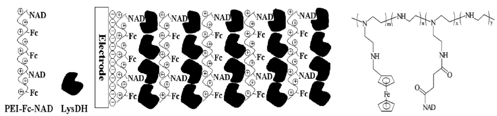 Materials 06 05742 g003 1024