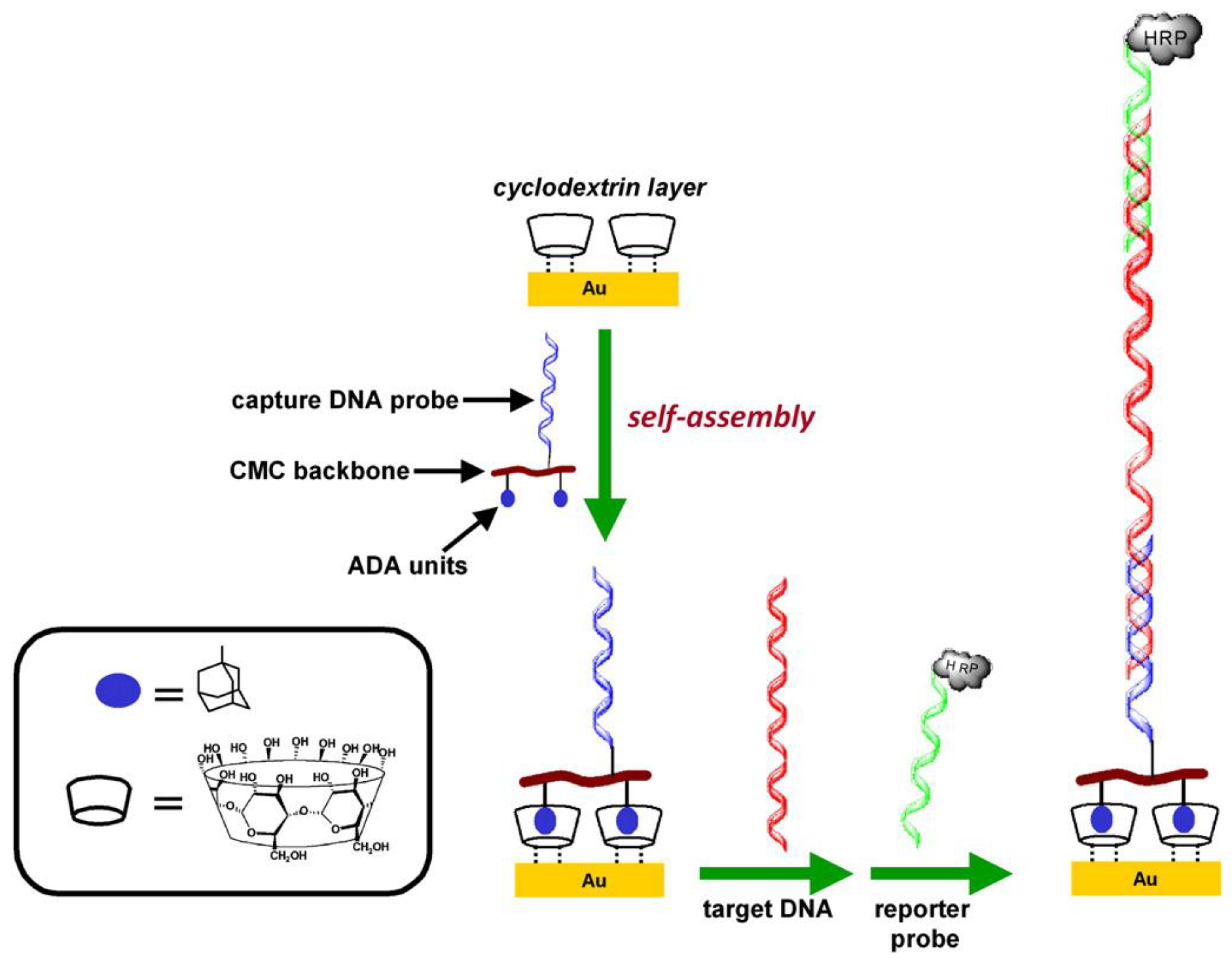 Materials 06 05742 g005