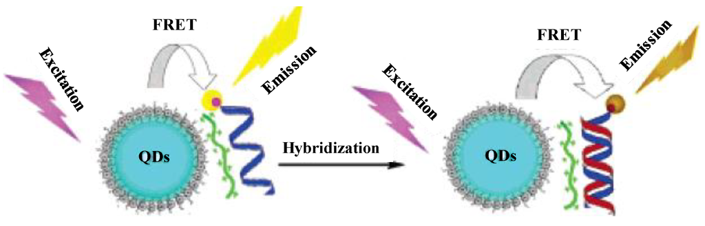 Materials 06 05763 g003 1024