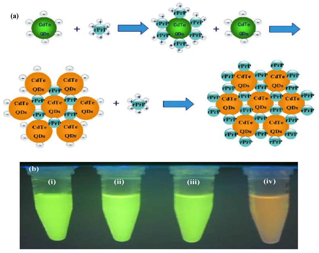 Materials 06 05763 g004 1024