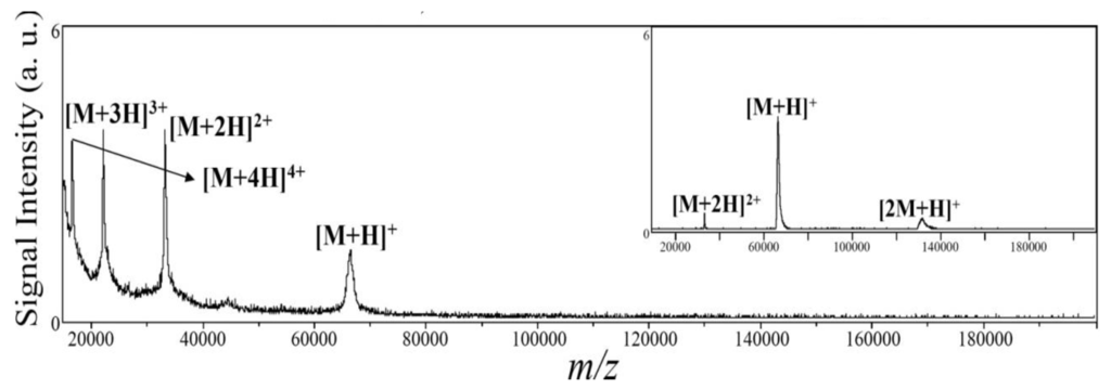 Materials 06 05763 g008 1024