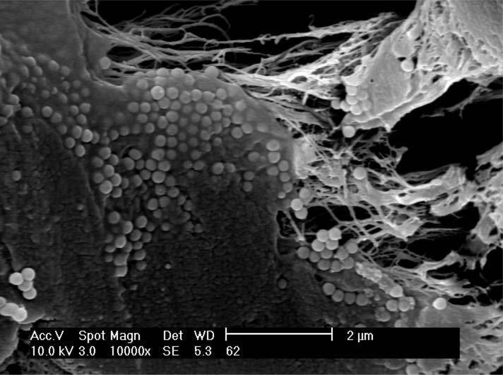 Materials 07 01995f4 1024