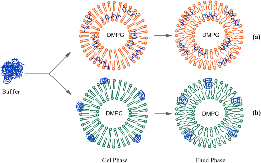 Materials 07 02120f5 1024