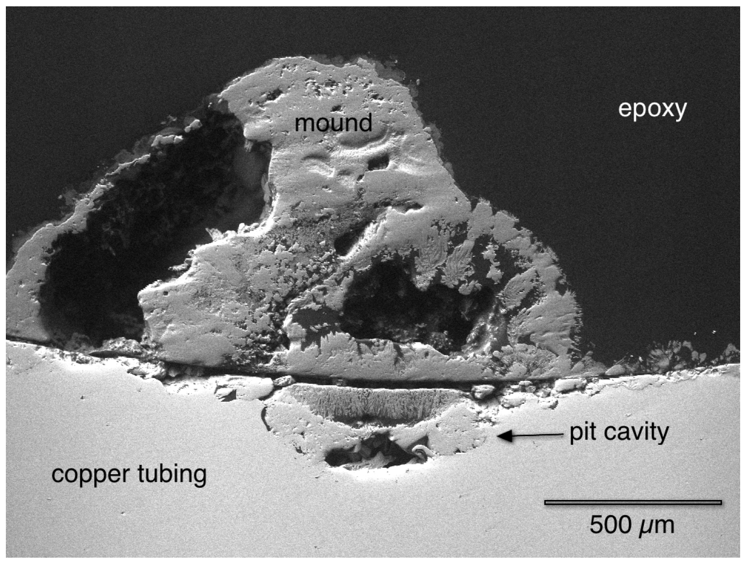 Materials 07 04321 g005