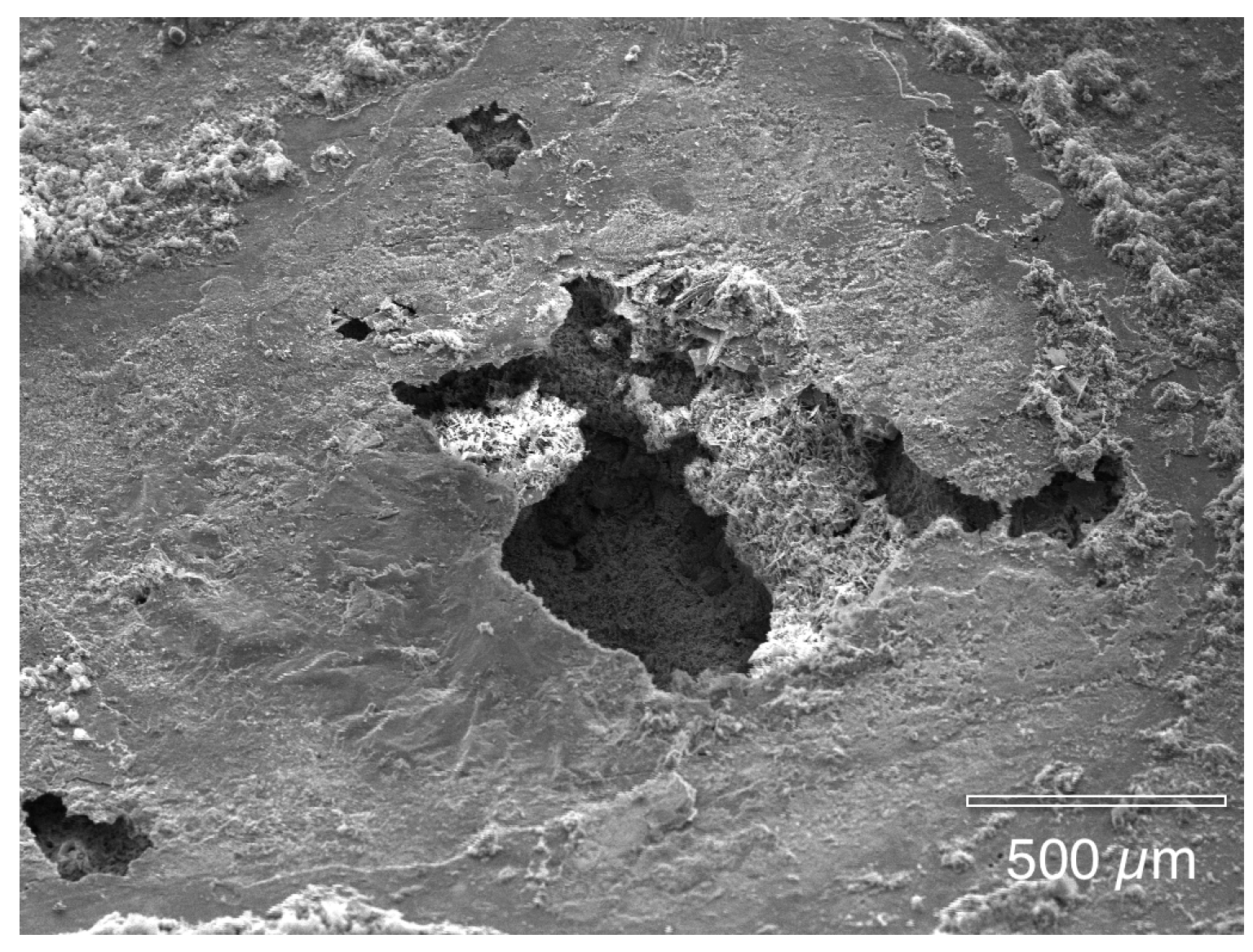 Materials 07 04321 g007