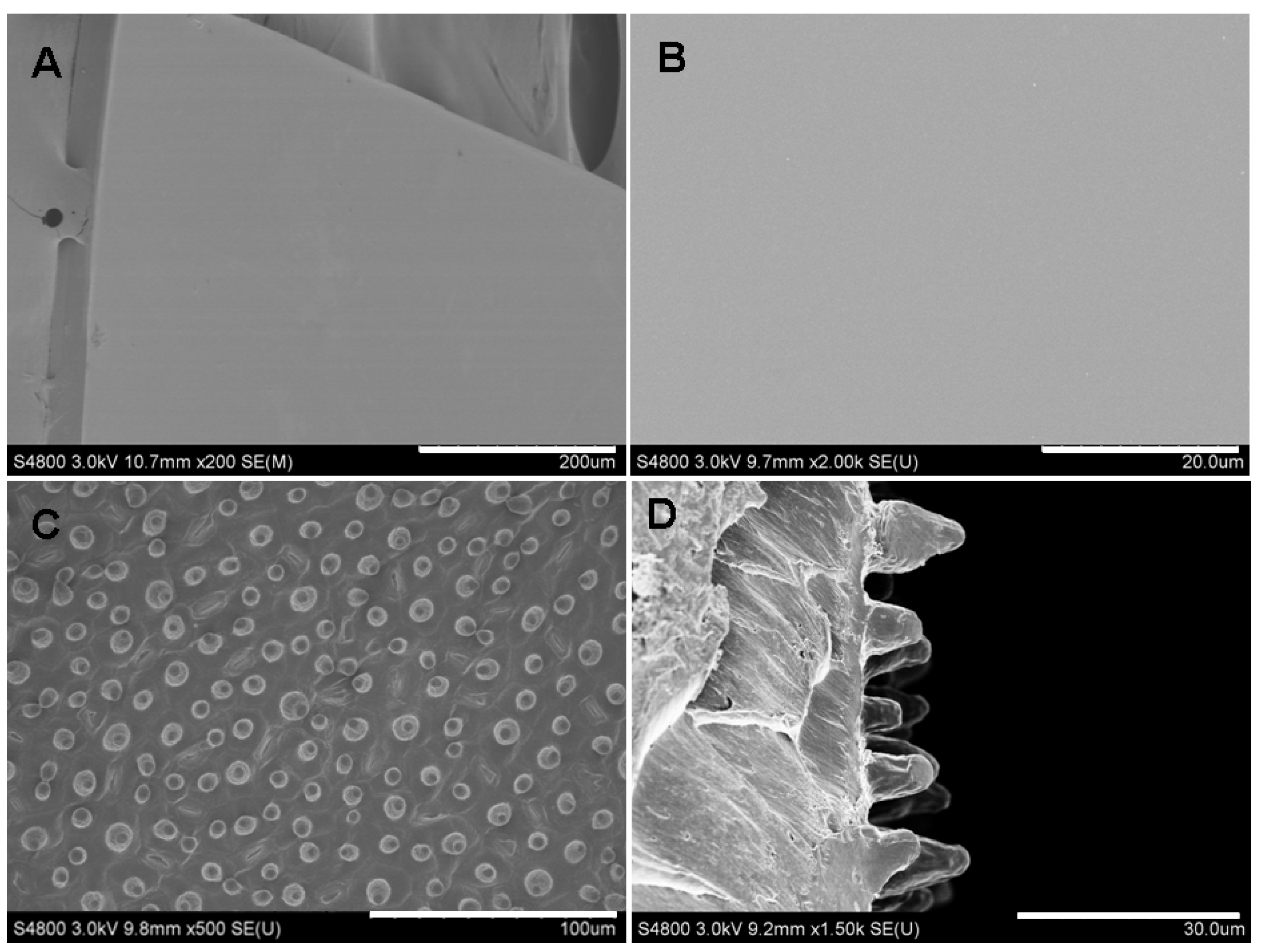 Materials 07 04628 g001