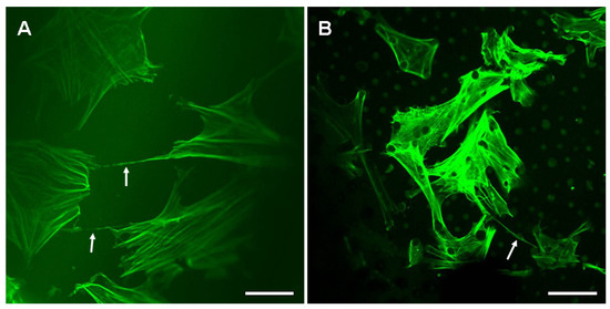 Materials 07 04628 g002 550