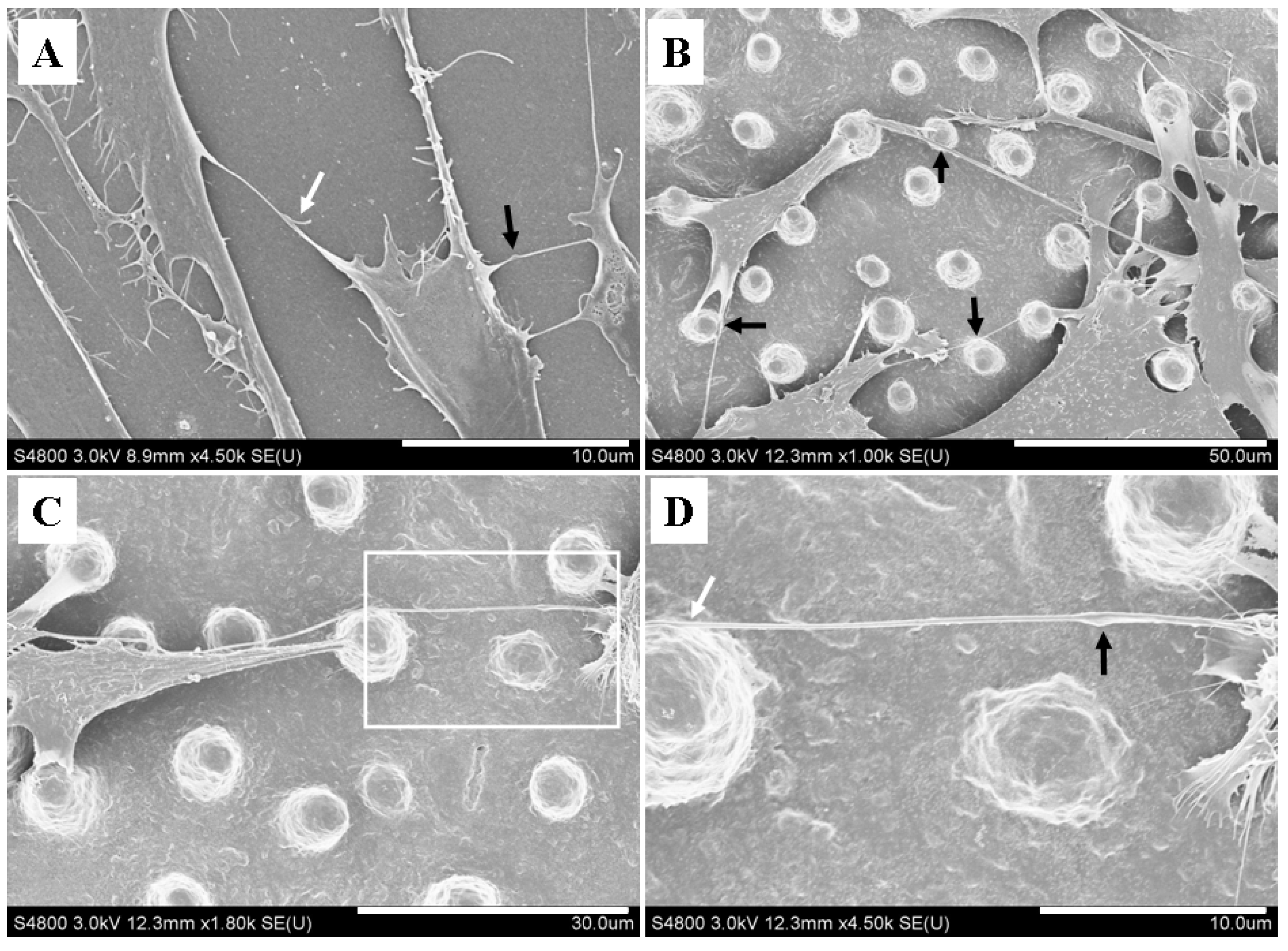 Materials 07 04628 g003