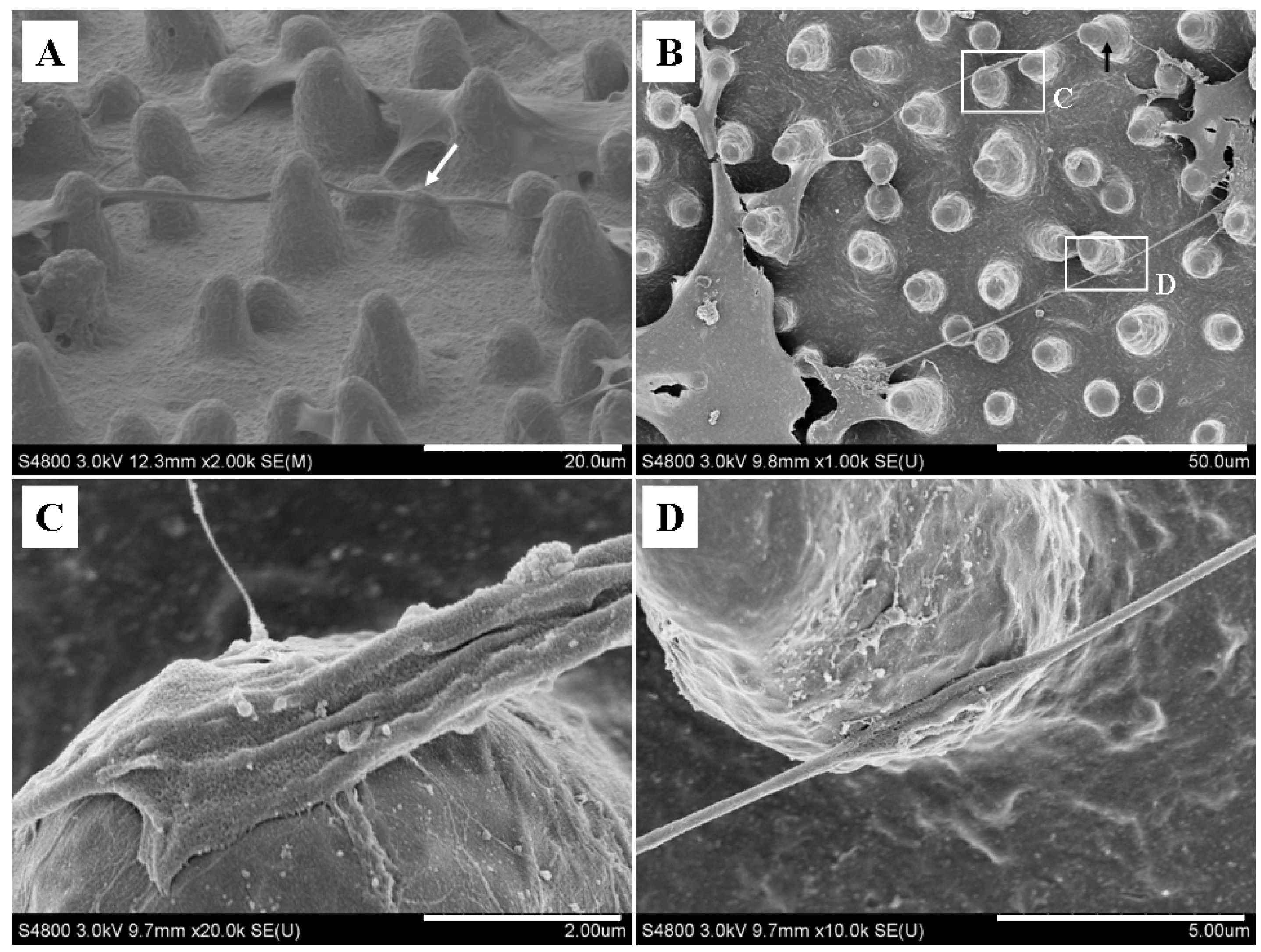 Materials 07 04628 g004