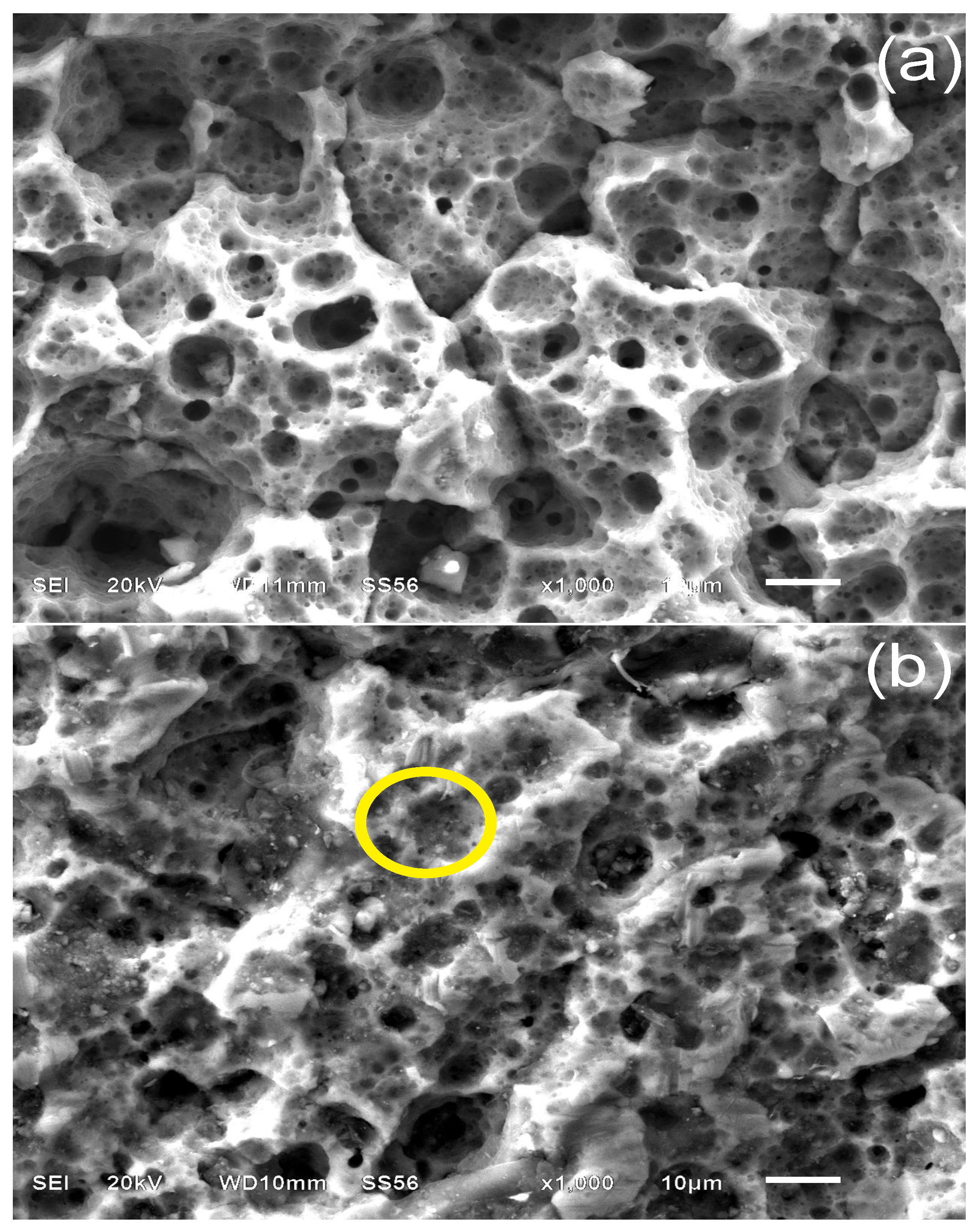 Materials 07 05711 g009