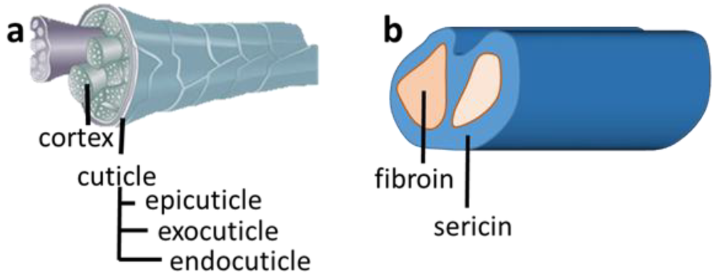Materials 07 06158 g001 1024