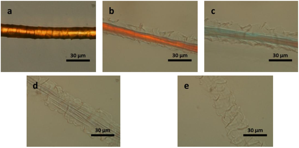 Materials 07 06158 g002 1024