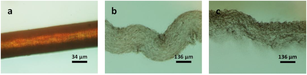 Materials 07 06158 g003 1024