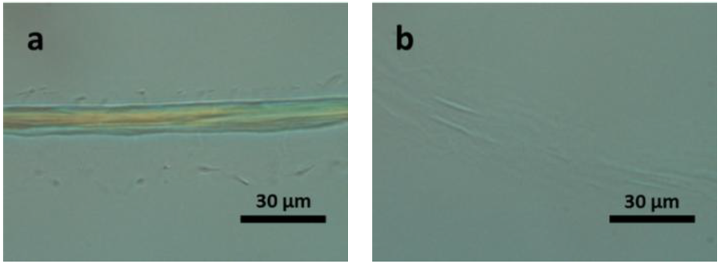 Materials 07 06158 g005 1024