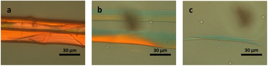 Materials 07 06158 g006 1024