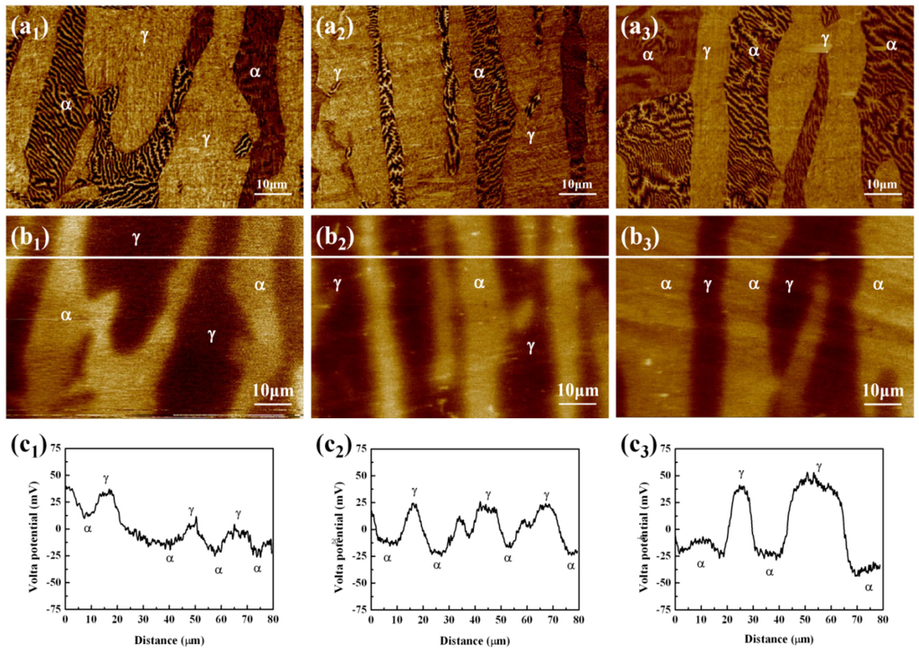 Materials 07 06604 g011 1024