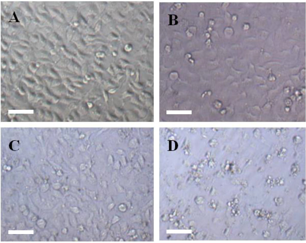 Materials 07 06865 g004 1024