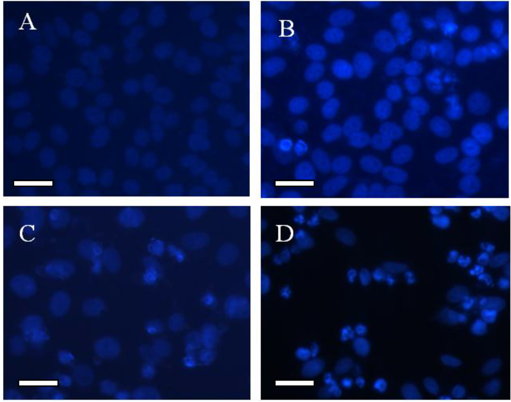 Materials 07 06865 g005 1024