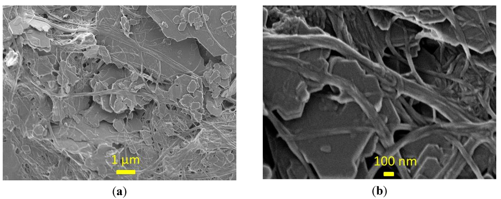 Materials 07 06893 g003 1024