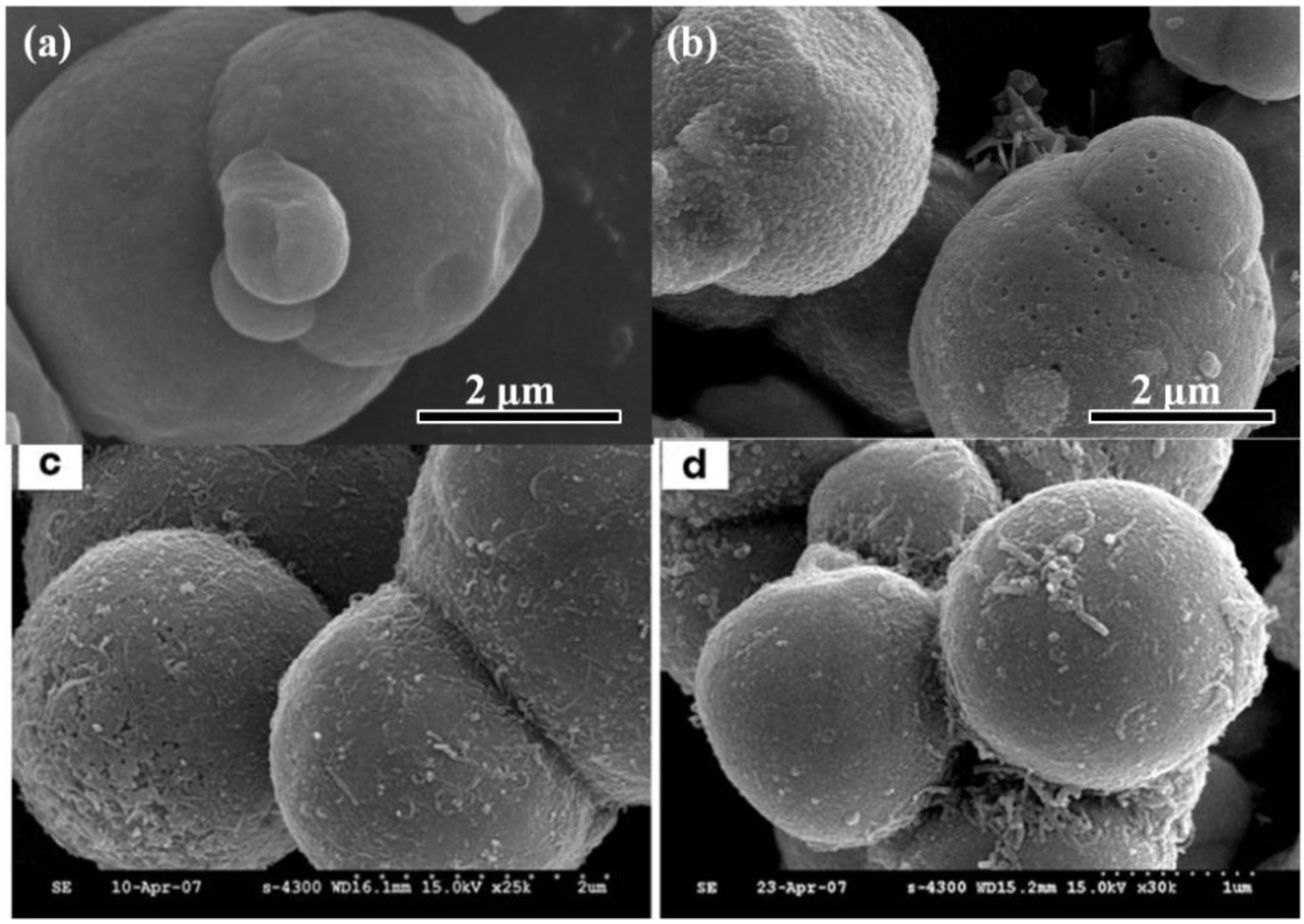 Materials 07 07460 g002