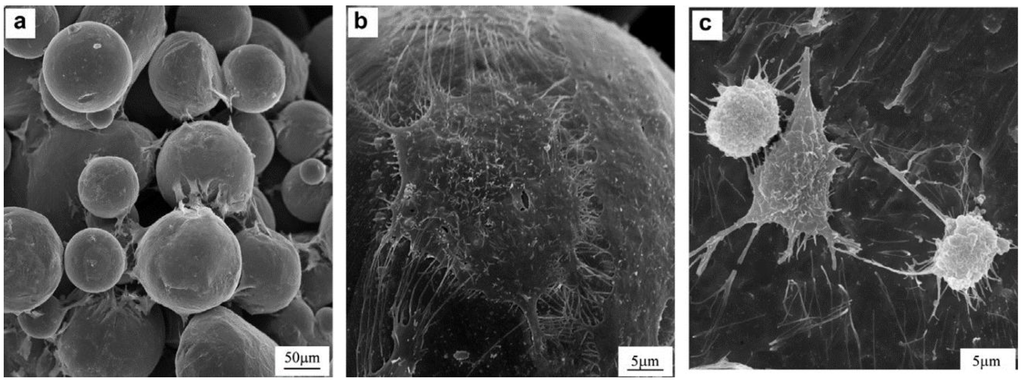 Materials 07 08168 g009 1024