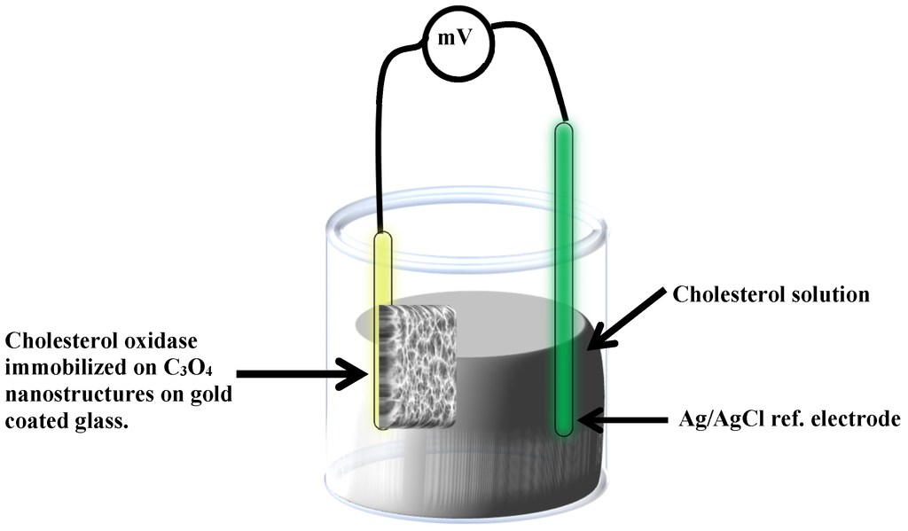 Materials 08 00149 g010 1024