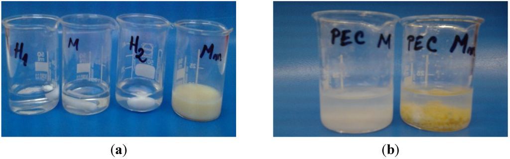 Materials 08 00317 g002 1024