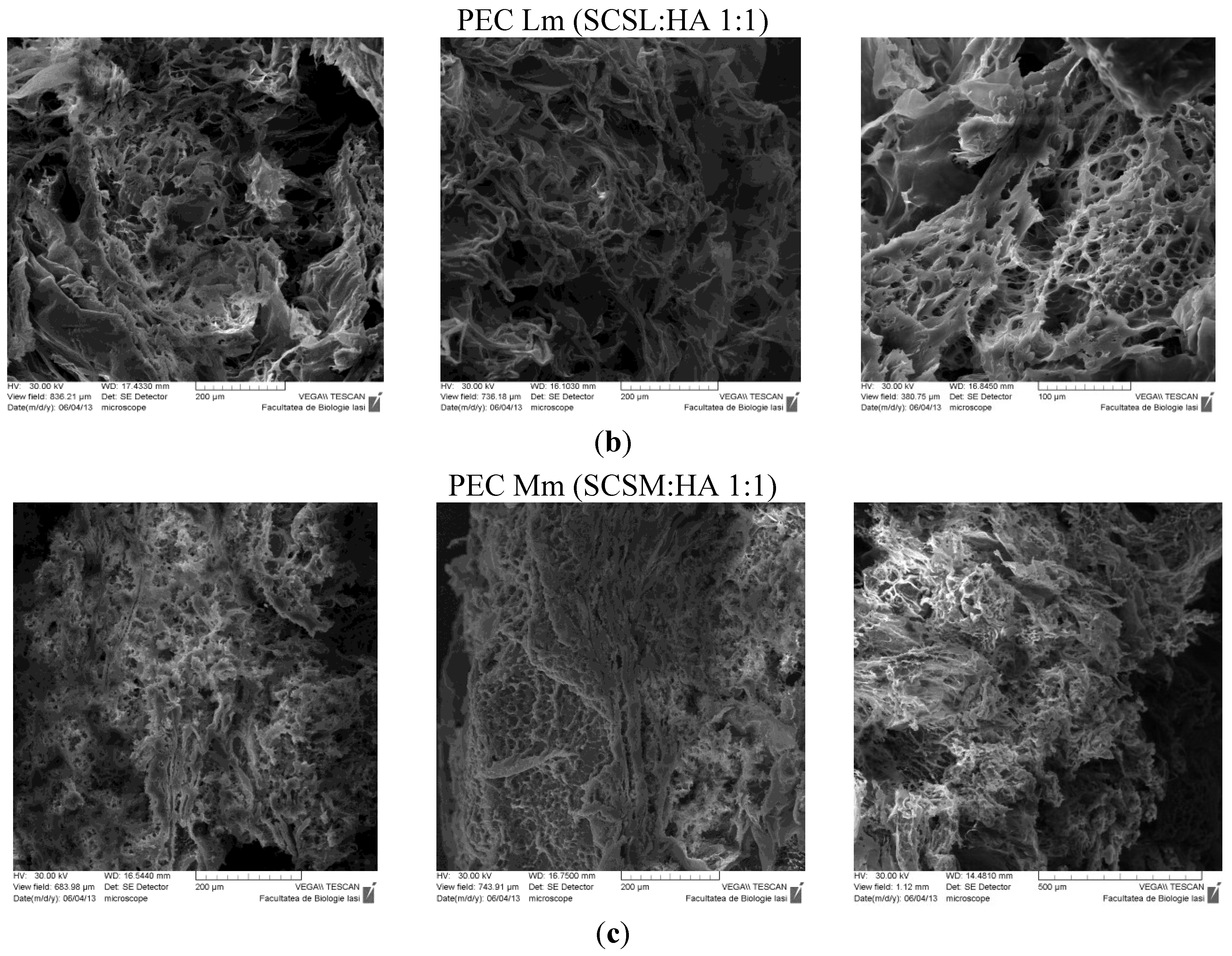 Materials 08 00317 g005b