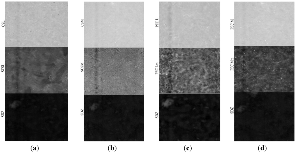 Materials 08 00317 g006 1024