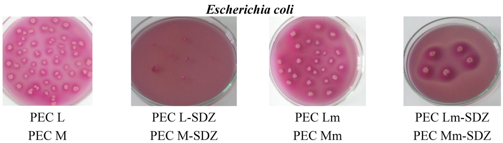 Materials 08 00317 g009a 1024