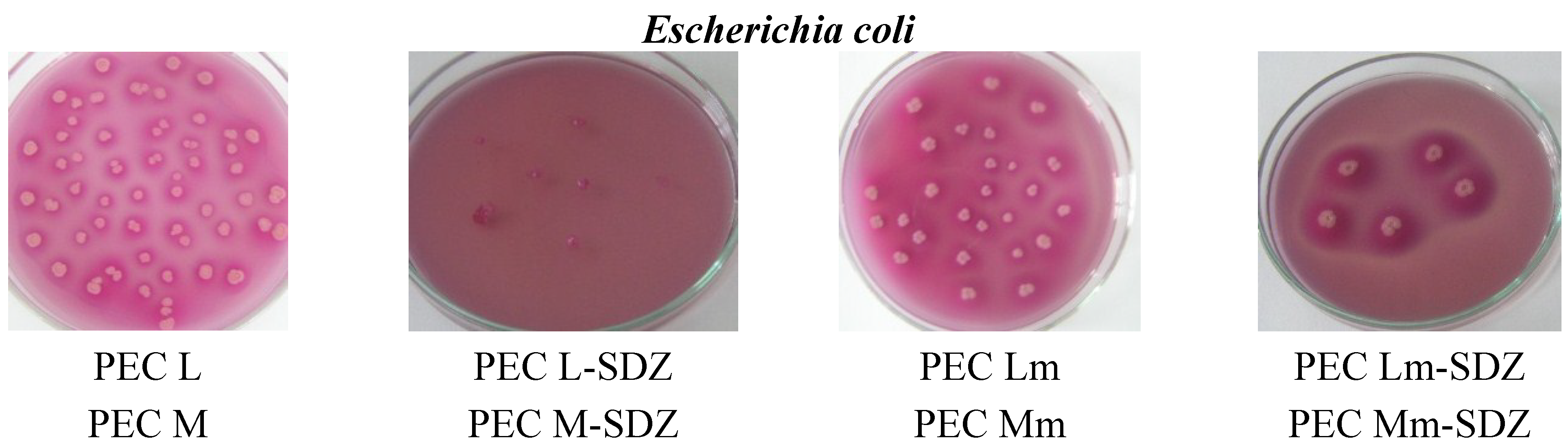 Materials 08 00317 g009a