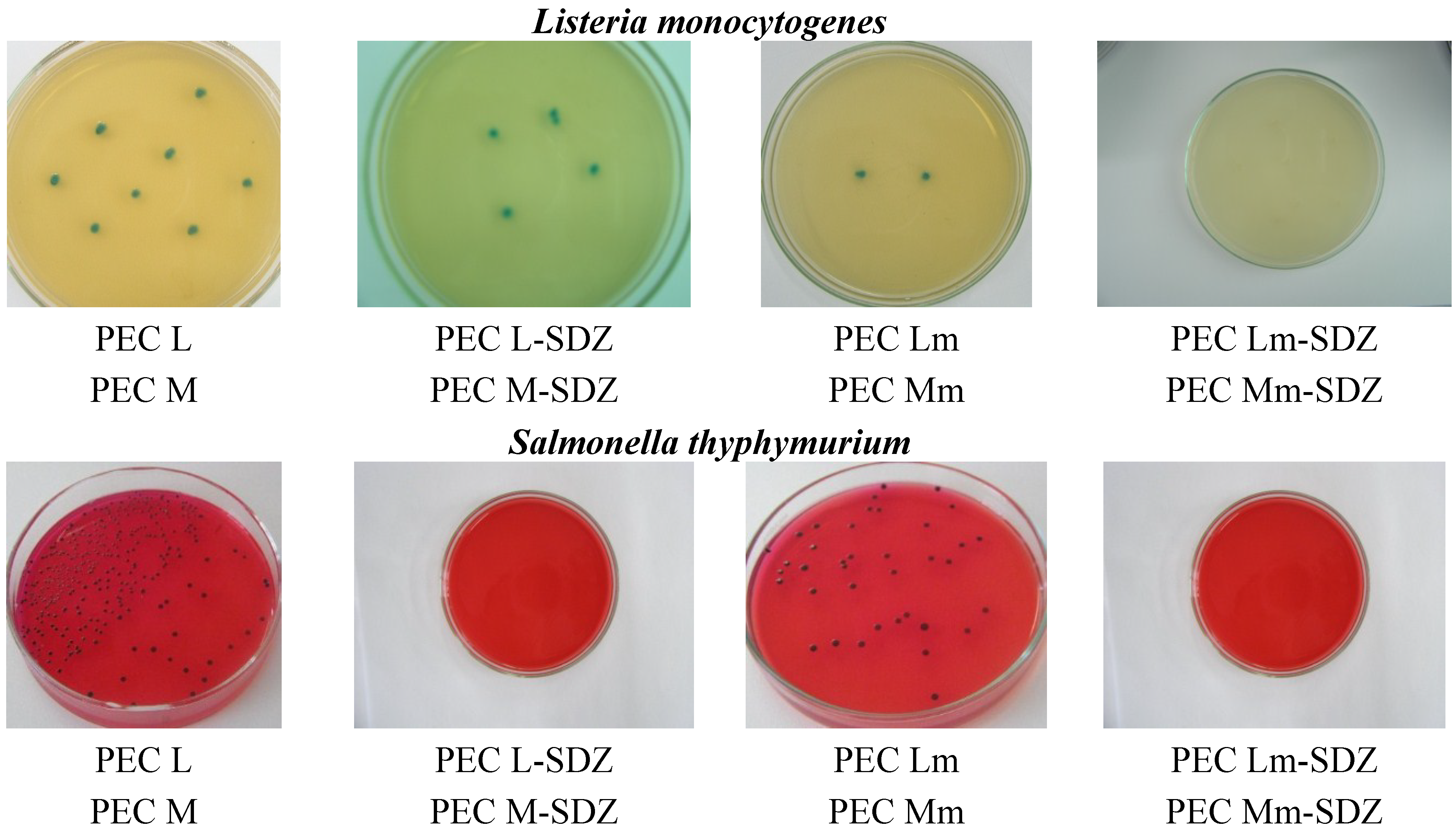 Materials 08 00317 g009b
