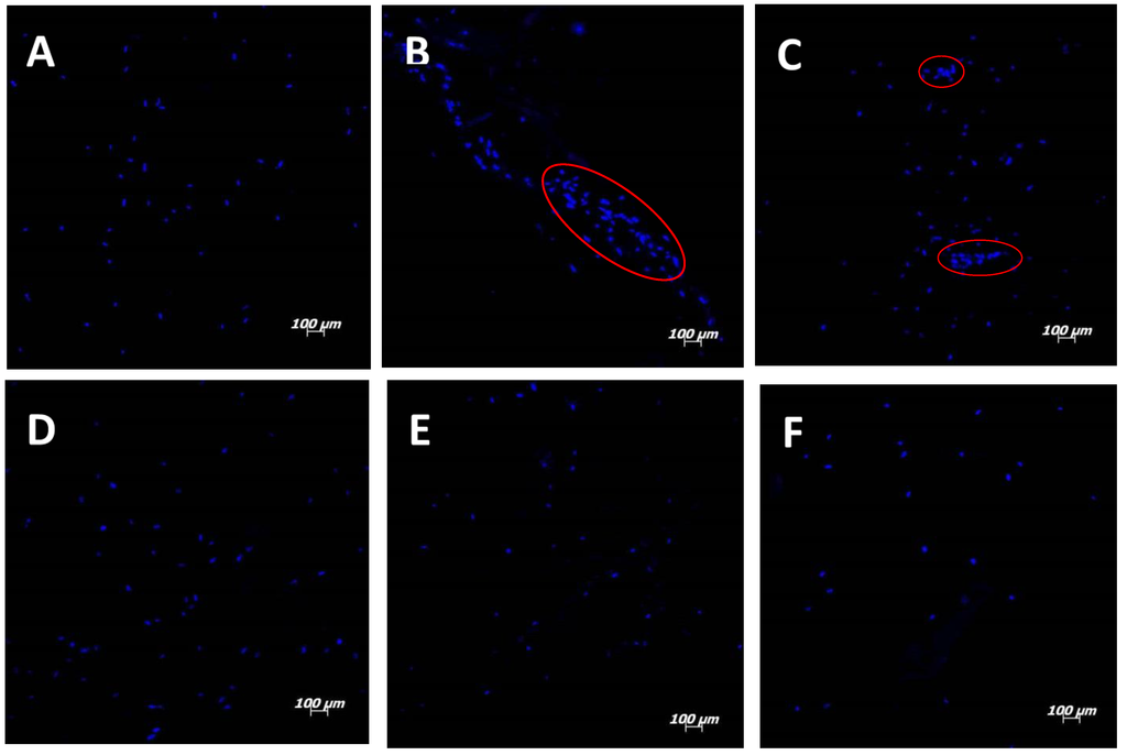 Materials 08 00408 g002 1024