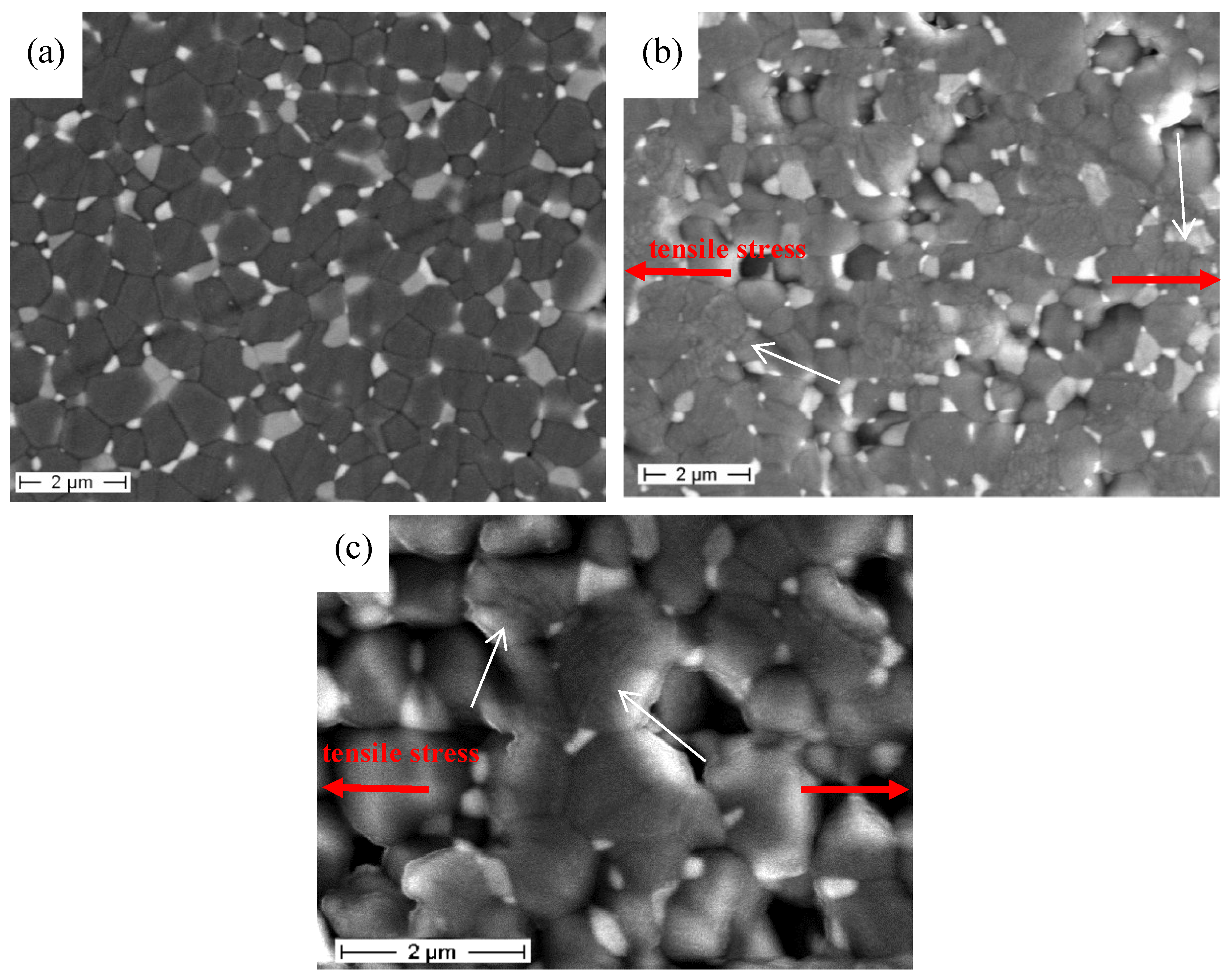 Materials 08 00611 g004