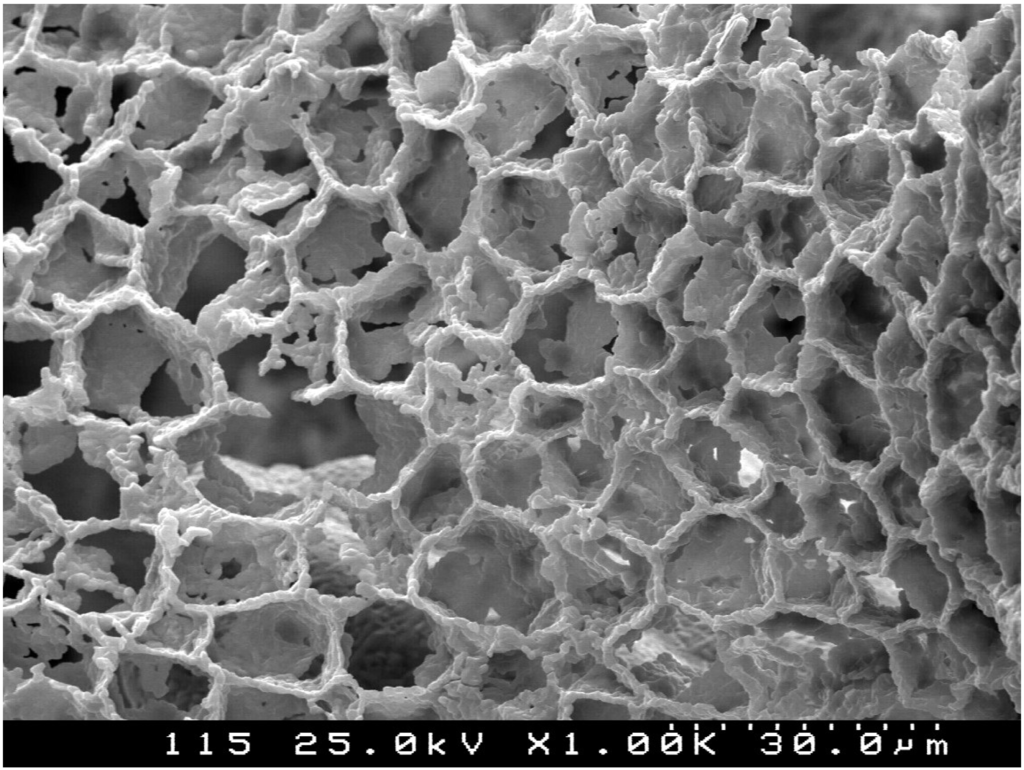 Materials 08 00625 g005 1024