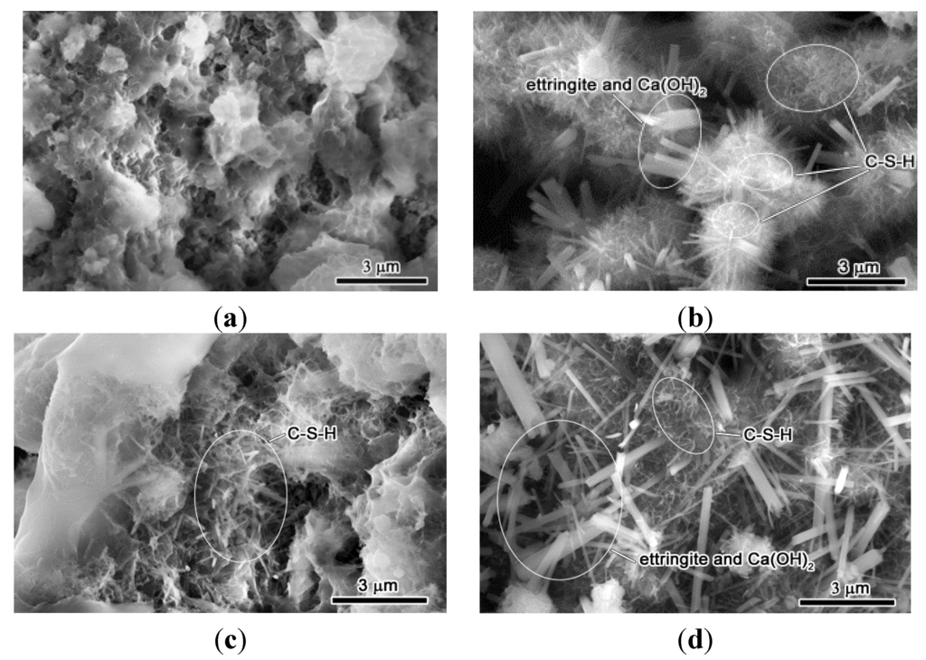 Materials 08 00638 g006a 1024