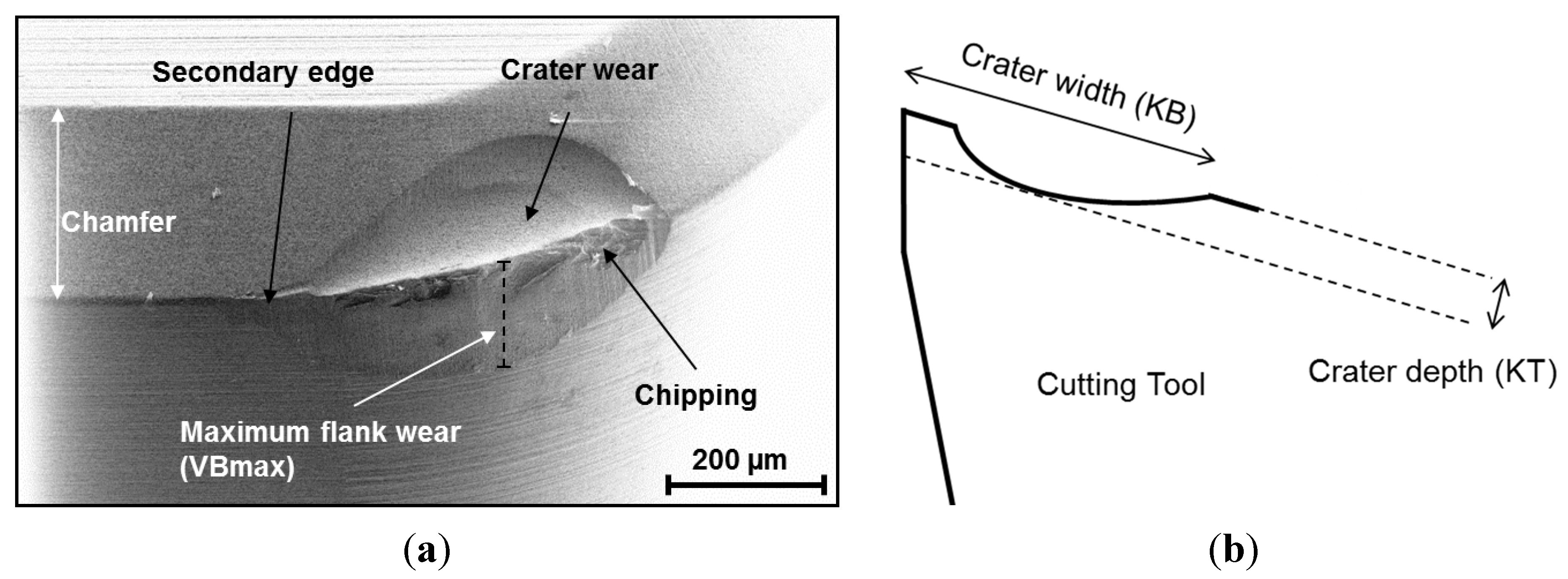Materials 08 00751 g008