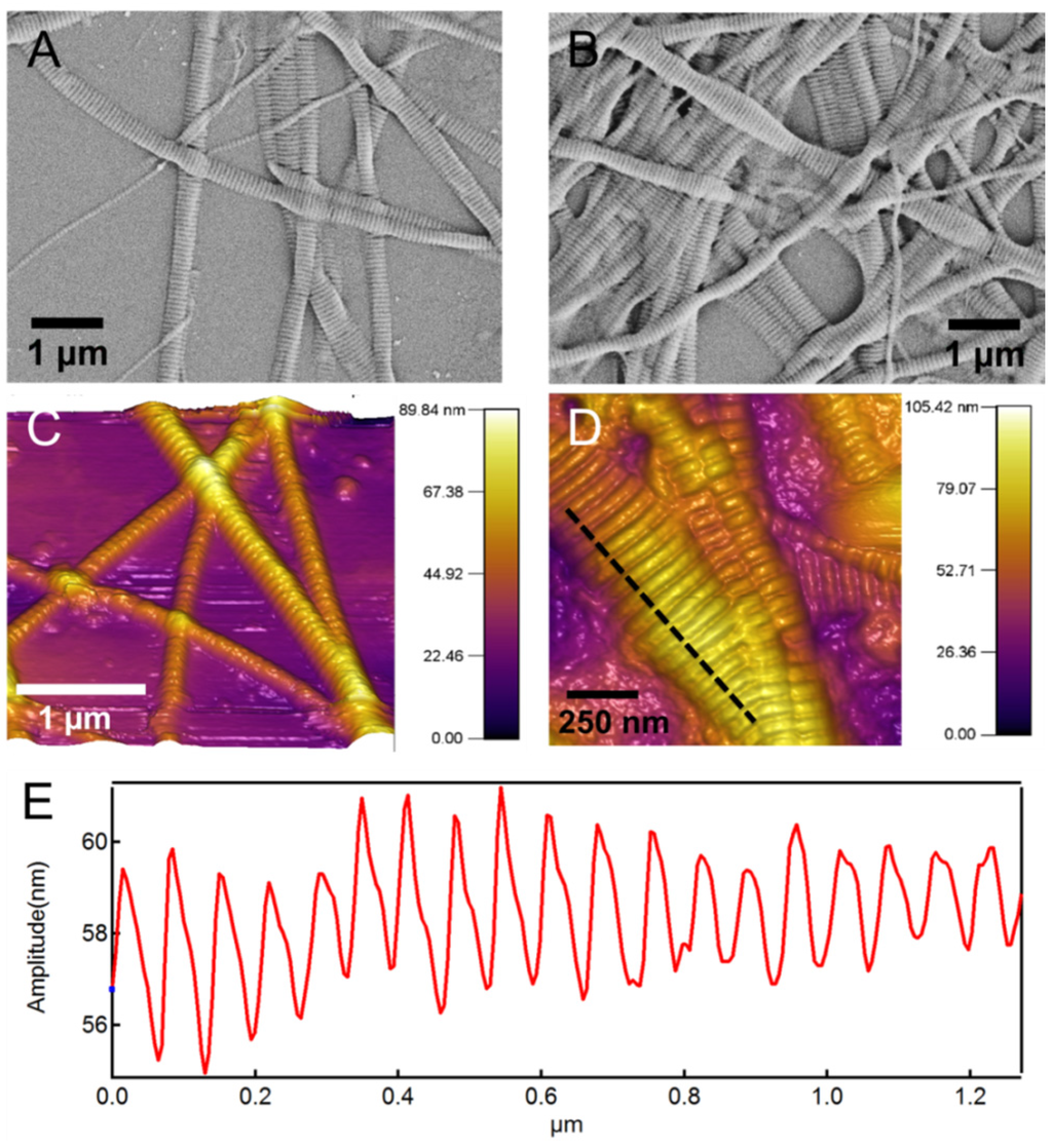 Materials 08 00799 g002 1024