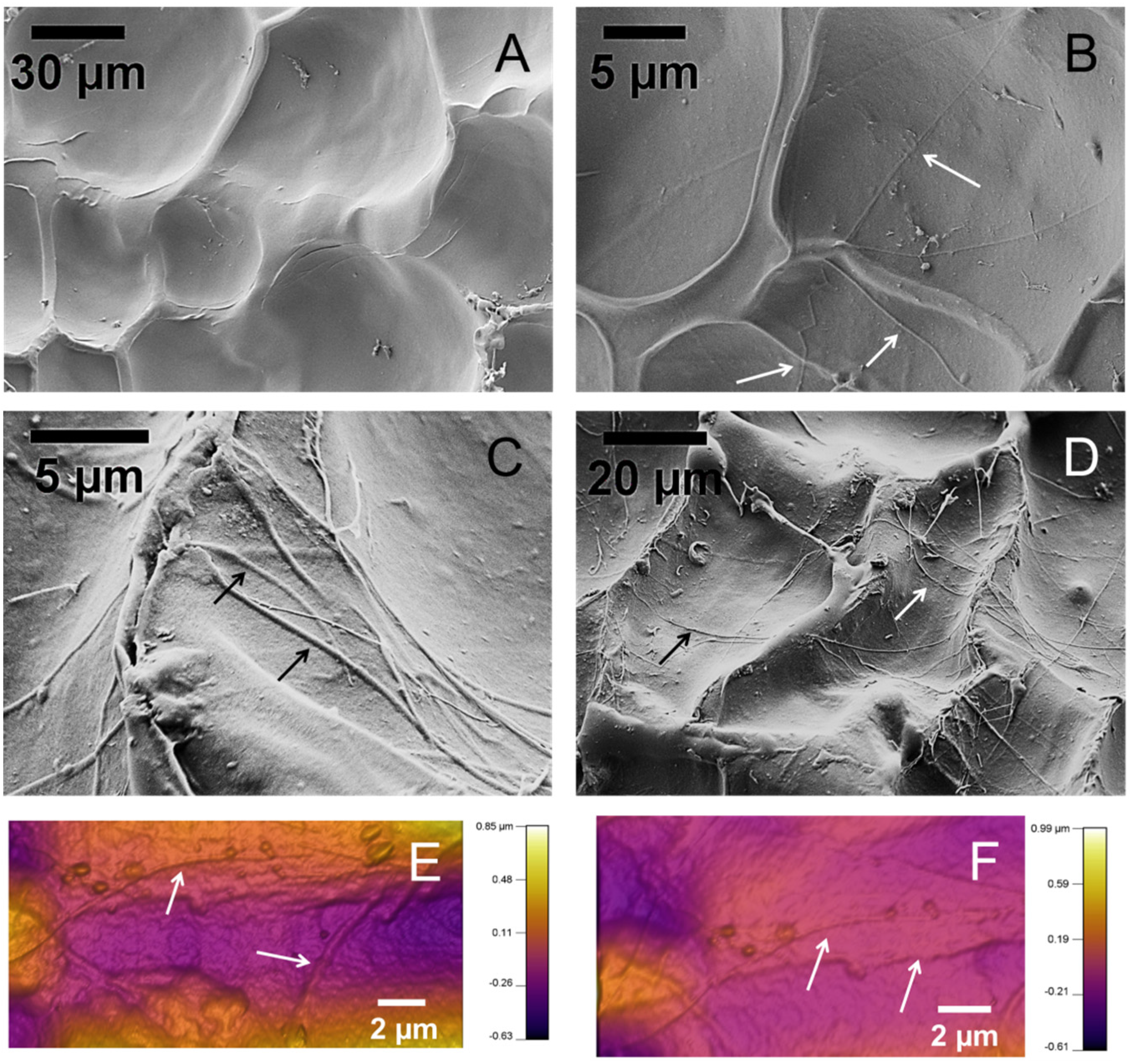 Materials 08 00799 g003
