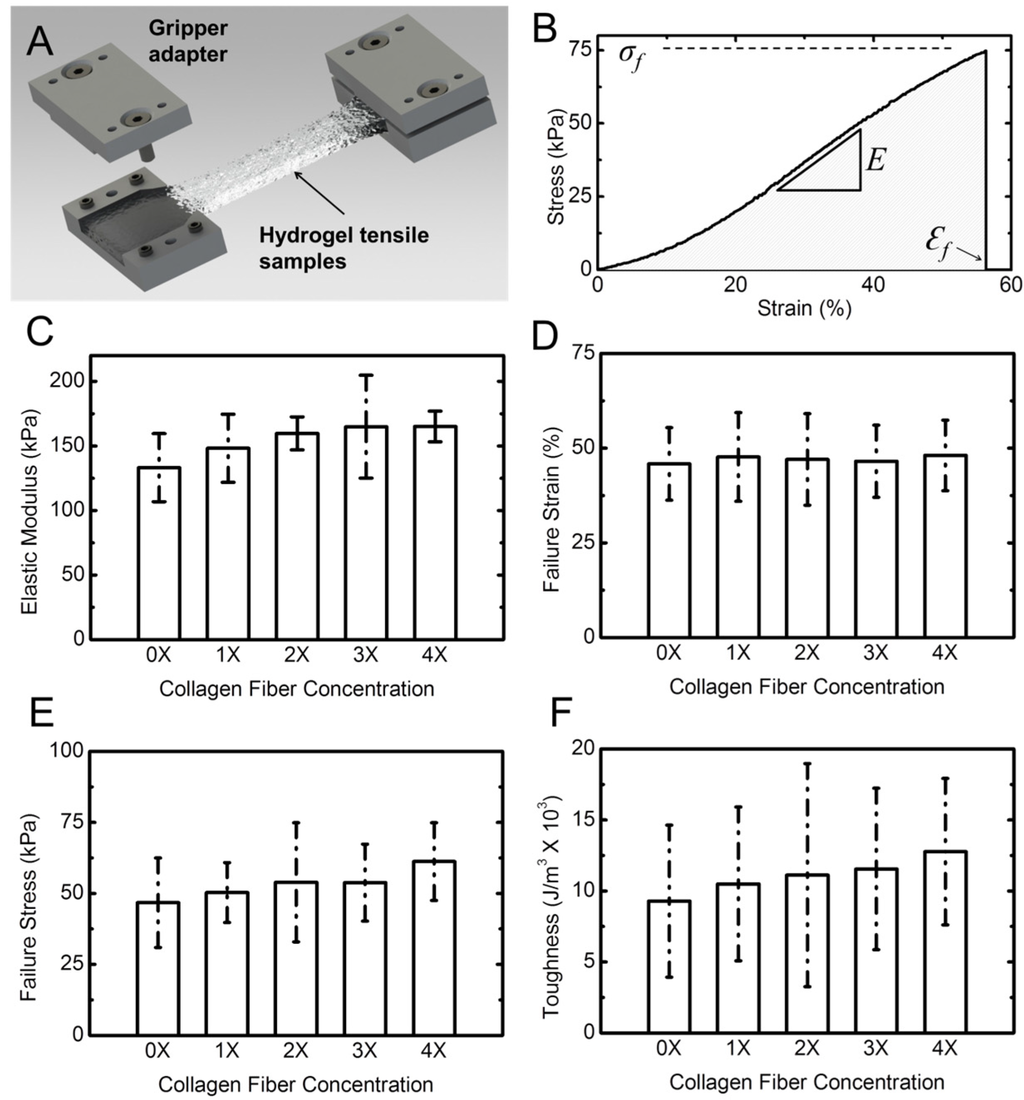 Materials 08 00799 g005 1024